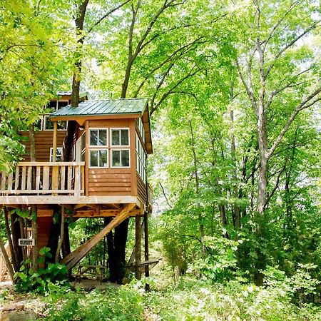 The Cottage Treehouses 赫曼 外观 照片